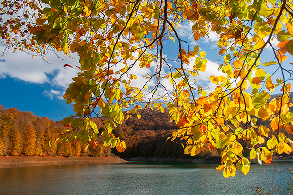 Ruta a las pasarelas de Alquézar