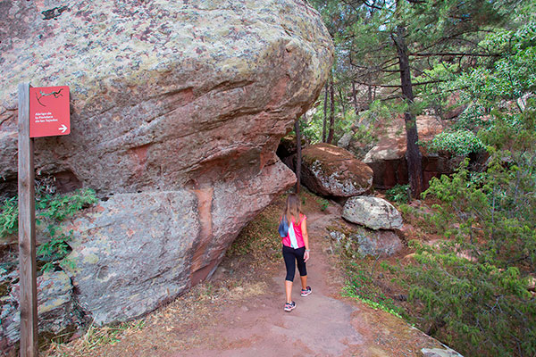 Pinturas rupestres del Ródano