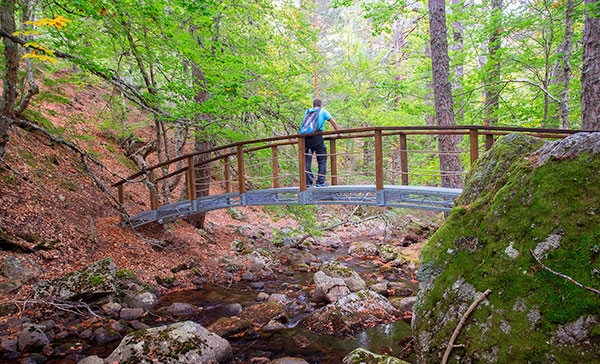 Laguna negra de urbión