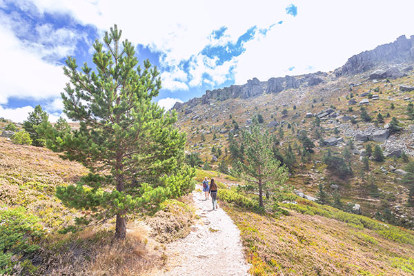 Nacimiento del río Duero