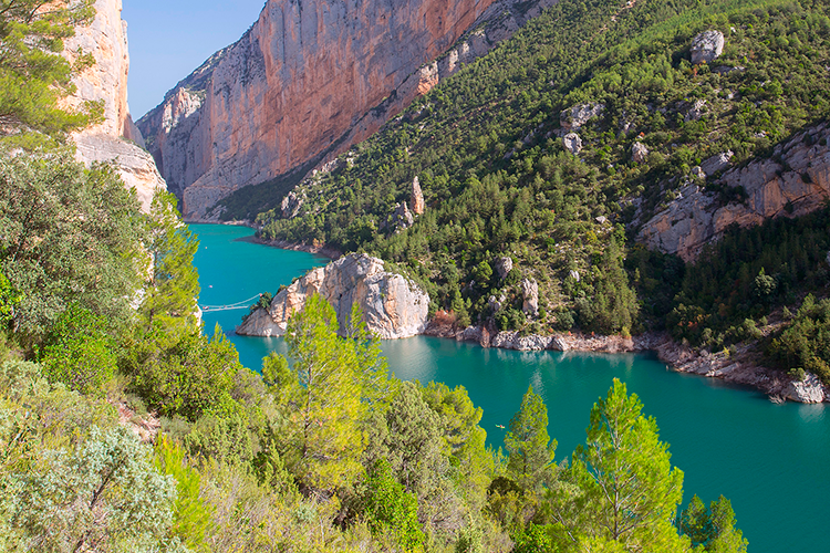 Puente colgante Congost Montrebei