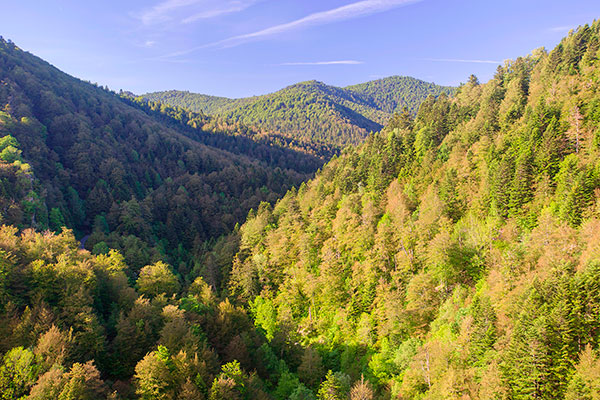 Turismo rural selva de Irati