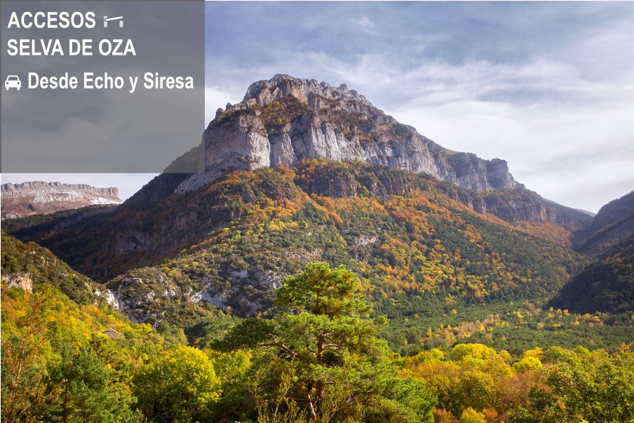 Accesos a la selva de Oza