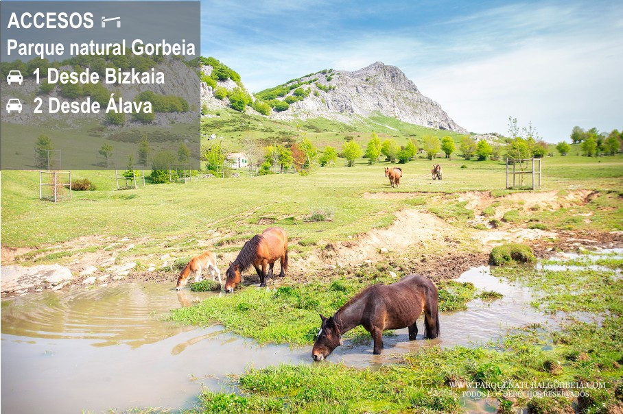 Accesos al parque natural gorbeia
