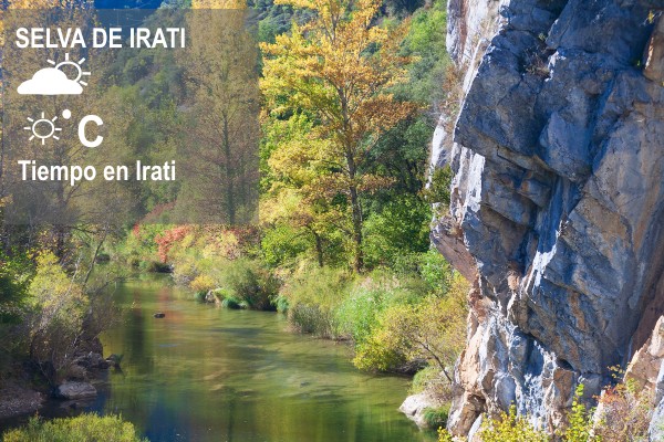 El tiempo en la selva de Irati