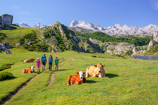 Lagos de Covadonga  con niños