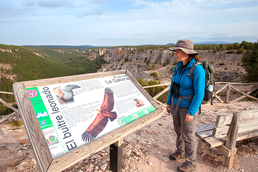 Normativa cañón del río lobos