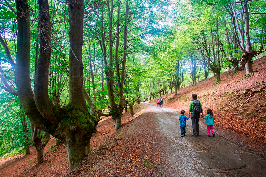 Parque natural Gorbeia con niños