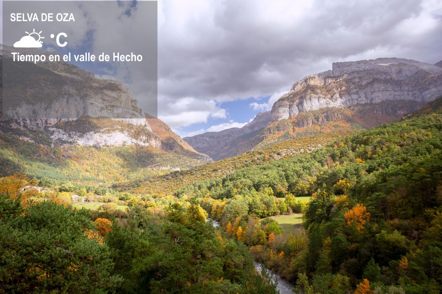 Clima en la selva de Oza y valle de hecho